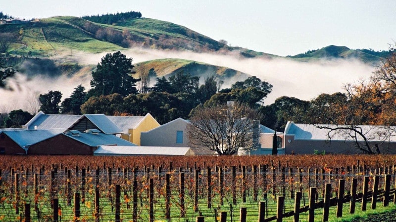 Homepage Wine in Motion Winery Te Mata Hawkes Bay New Zealand